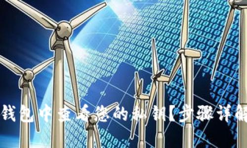 如何在小狐钱包中查看您的私钥？步骤详解与安全提示