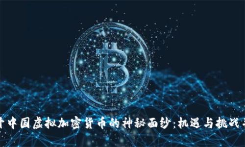 揭开中国虚拟加密货币的神秘面纱：机遇与挑战并存