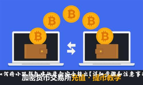 如何将小狐钱包中的资金安全转出？详细步骤和注意事项