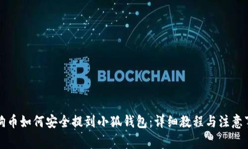 狗狗币如何安全提到小狐钱包：详细教程与注意事项