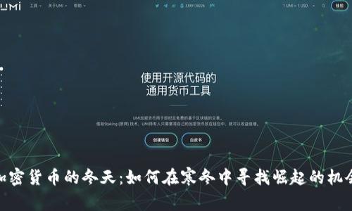 加密货币的冬天：如何在寒冬中寻找崛起的机会