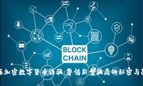 揭露上海加密数字货币诈骗：警惕新型骗局的秘密与防范策略