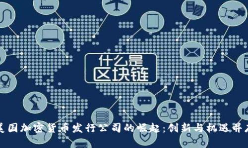 美国加密货币发行公司的崛起：创新与机遇并存