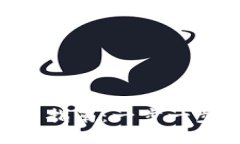 小狐钱包添加NFT的详细指