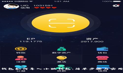 波场钱包如何导入小狐钱包：简单步骤与实用技巧