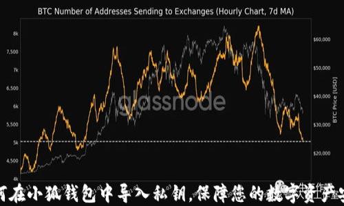 
如何在小狐钱包中导入私钥，保障您的数字资产安全