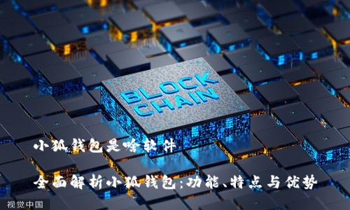 小狐钱包是啥软件

全面解析小狐钱包：功能、特点与优势