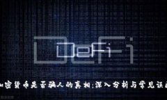 加密货币是否骗人的真相