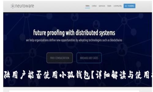 : 大陆用户能否使用小狐钱包？详细解读与使用指南