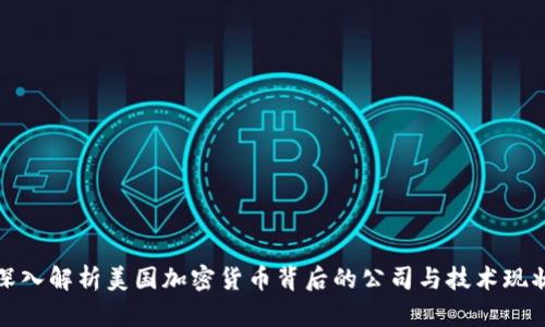 深入解析美国加密货币背后的公司与技术现状