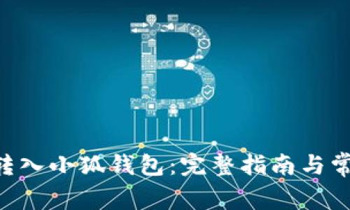 如何将NFT转入小狐钱包：完整指南与常见问题解答