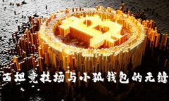 全面解析西坦竞技场与小