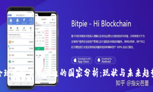 全球加密货币流通的国家分析：现状与未来趋势