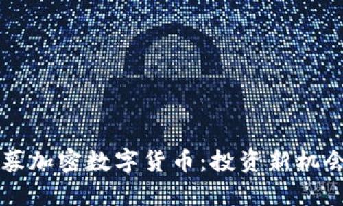 深入了解私募加密数字货币：投资新机会和风险解析