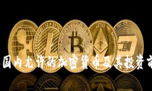 2023年国内允许的加密货币及其投资前景详解