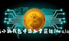 如何在小狐钱包中添加雪