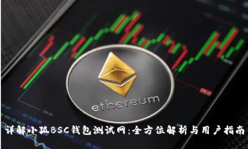 详解小狐BSC钱包测试网：全方位解析与用户指南