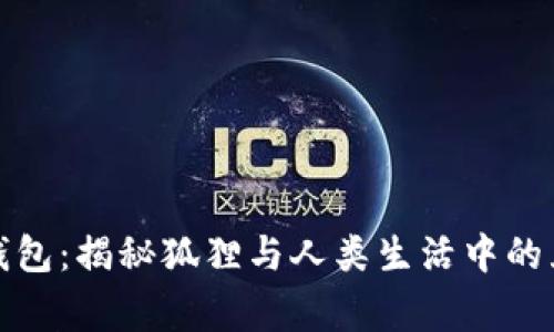 狐狸拿钱包：揭秘狐狸与人类生活中的互动故事