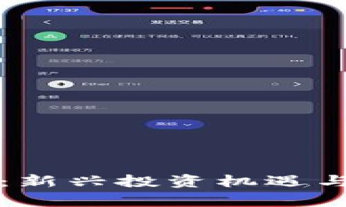 红杉加密货币：新兴投资机遇与市场潜力分析