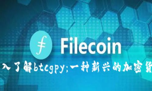 深入了解btcgpy：一种新兴的加密货币