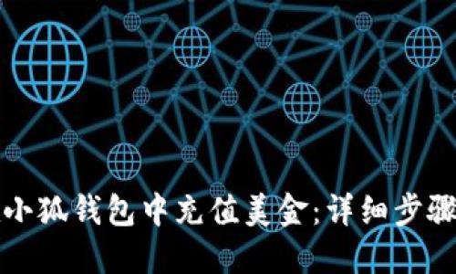 如何在小狐钱包中充值美金：详细步骤与技巧