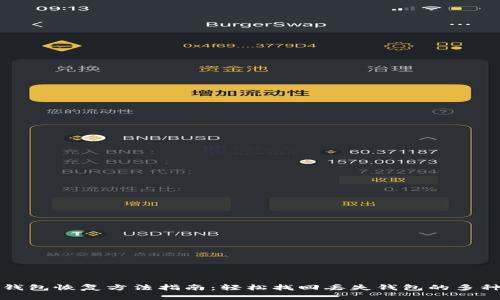 小狐钱包恢复方法指南：轻松找回丢失钱包的多种途径