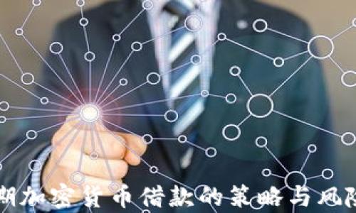 
熊市期加密货币借款的策略与风险分析