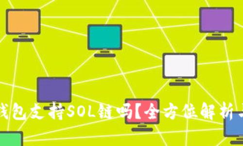 小狐钱包支持SOL链吗？全方位解析与指南