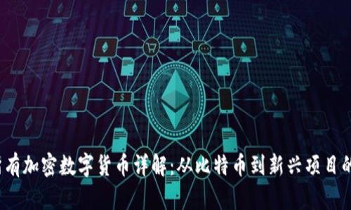 2023年所有加密数字货币详解：从比特币到新兴项目的全景分析