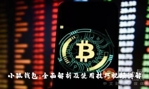 小狐钱包：全面解析及使用技巧视频讲解