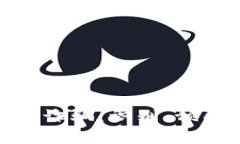 加密货币高额诈骗：识别