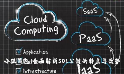 小狐钱包：全面解析SOL公链的特点与优势