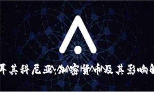 土耳其科尼亚：加密货币及其影响解析