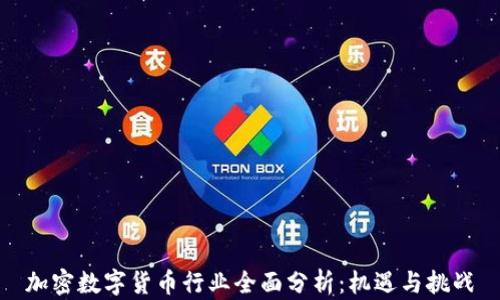 
加密数字货币行业全面分析：机遇与挑战