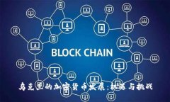 乌克兰的加密货币发展：机遇与挑战