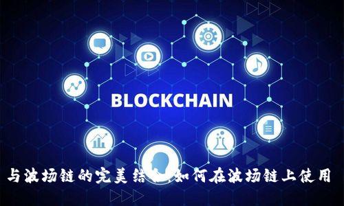 MetaMask 与波场链的完美结合：如何在波场链上使用 MetaMask？