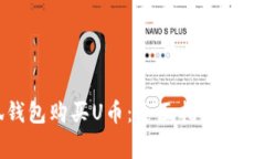 如何在小狐钱包购买U币：全面指南与常见问题解