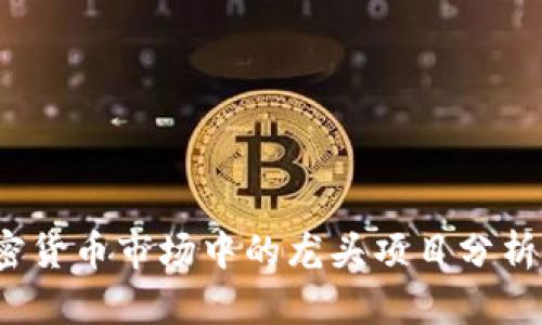 2023年加密货币市场中的龙头项目分析及趋势解读