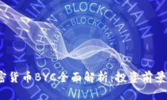 2023年加密货币BYC全面解析