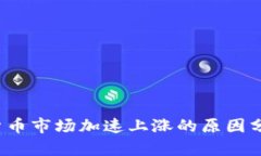 2023年加密货币市场加速上