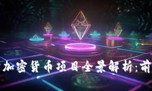 2023年俄罗斯加密货币项目全景解析：前景、挑战与机遇