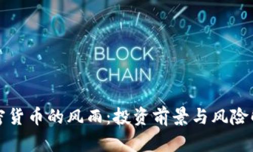 加密货币的风雨：投资前景与风险解析
